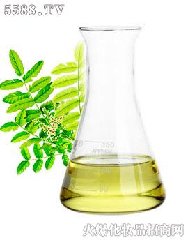 �V��ʢ�������������޹�˾���\���þo�wͨ�j(lu��)��Ħ����