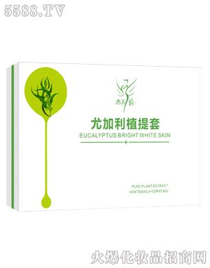 �V��╆�����Ƽ����޹�˾���ȼ���ֲ����