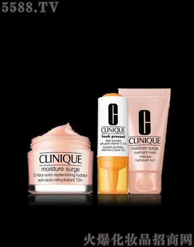 �V�ݖ|��I(y��)���Q���޹�˾��ٻ��ˮ�۱����w˪�������棩