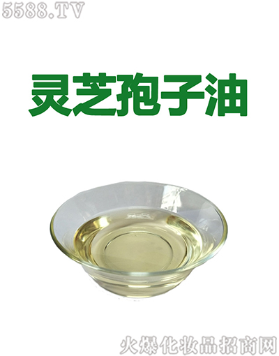 �V�ݰ��������Ƽ����޹�˾��������`֥������