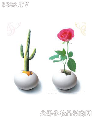 �Ϻ���������Ƽ����޹�˾����ǻ�ޏ�3��ɆT