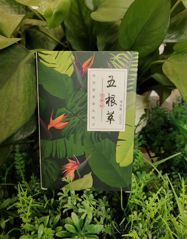 ���(y��ng)�аl(f��)����ˎ�I(y��)����؟(z��)�ι�˾������͠I(y��ng)�B(y��ng)��10gx5��