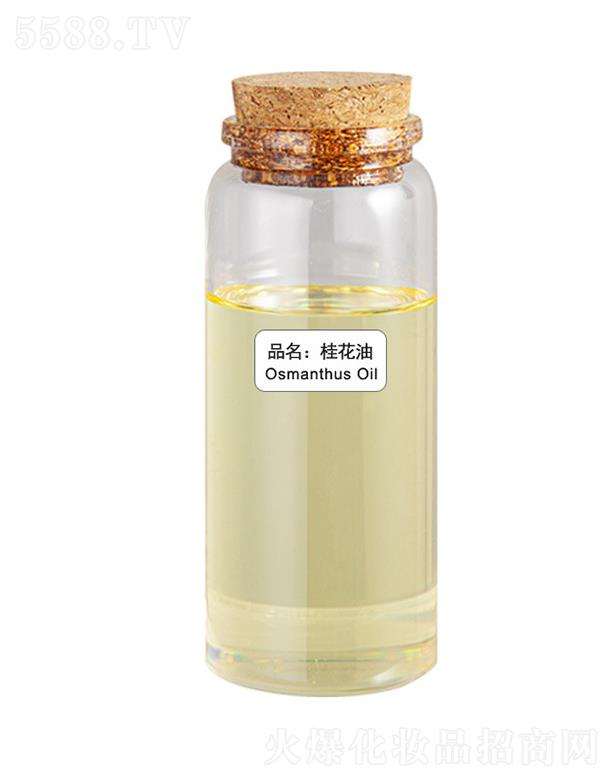 ����ɭ��ֲ�������޹�˾��ɭ������