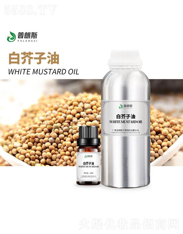 �V������˹����Ƽ����޹�˾������˹�׽�����