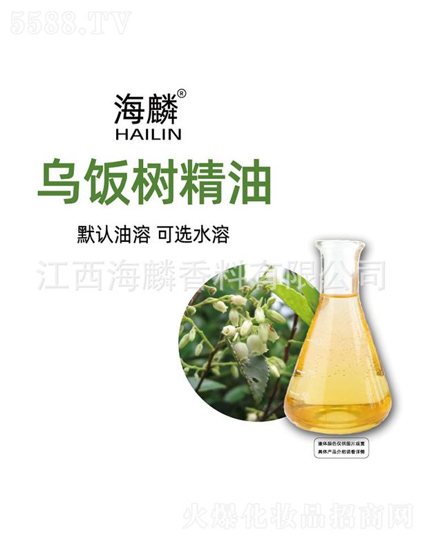 ���������㾫���޹�˾�������侫��