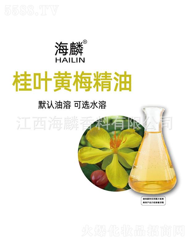 ���������㾫���޹�˾��������~�S÷����