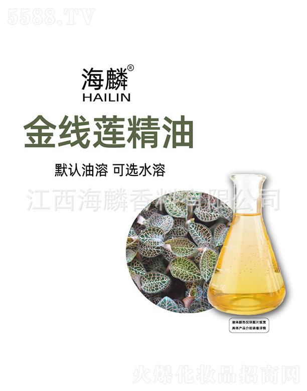 ���������㾫���޹�˾�������ɏ����