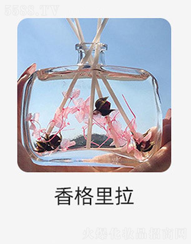 �V���������Ƽ����޹�˾���o(w��)����޹����-�������