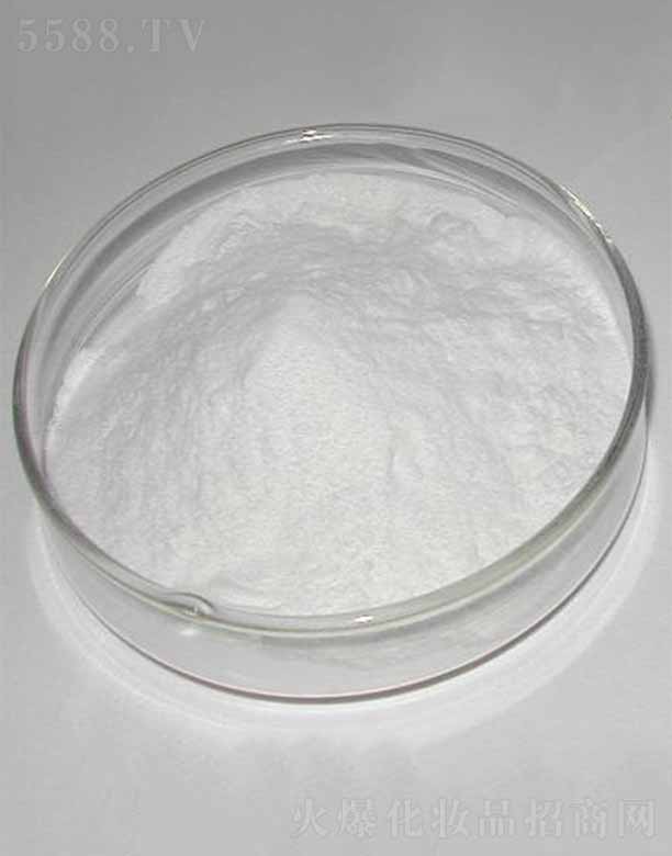 �ɶ������������޹�˾������-9/������/������