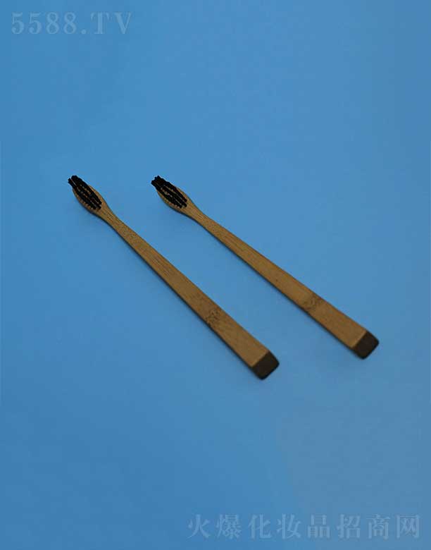 �P�ݻ��i�ջ���Ʒ���޹�˾���h(hu��n)�������ˢEFBH-001