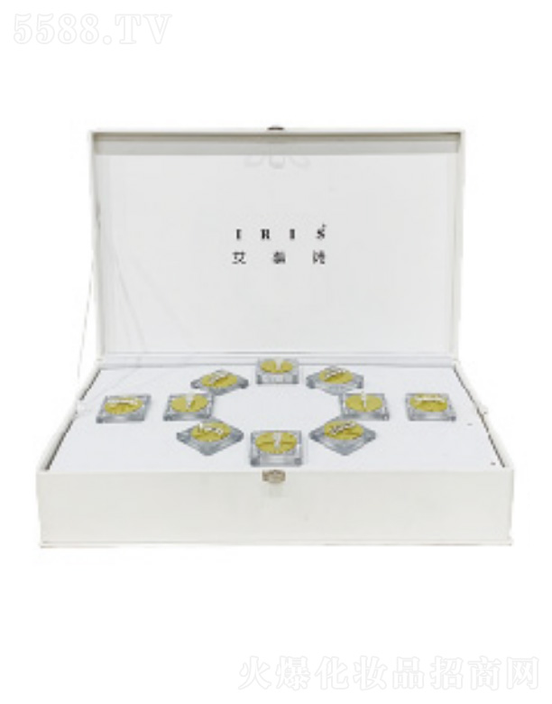 ��ۿ���ʢ�����F(tu��n)���޹�˾����ˮܽ��