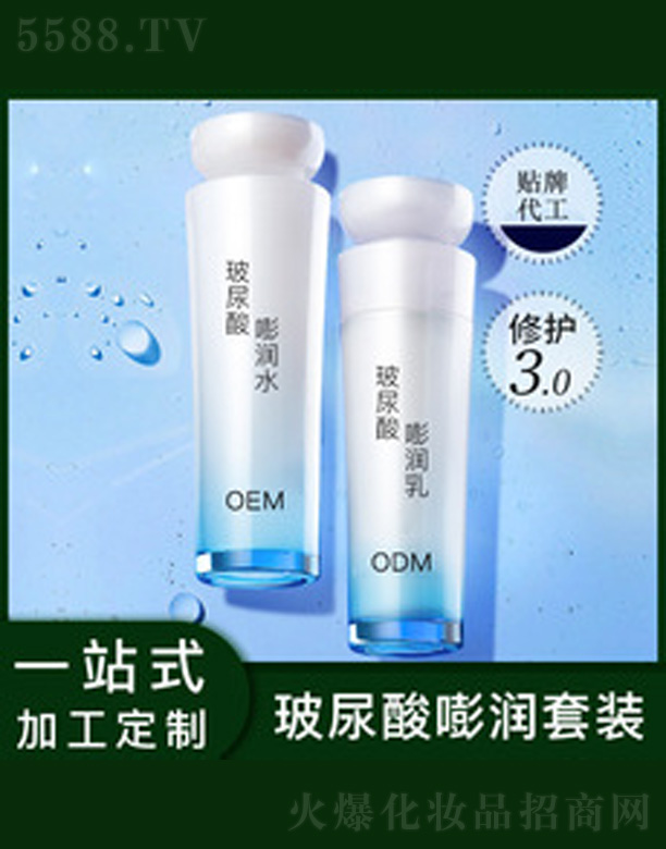 �V�����������＼�g���޹�˾���aˮ����ˮ�����b