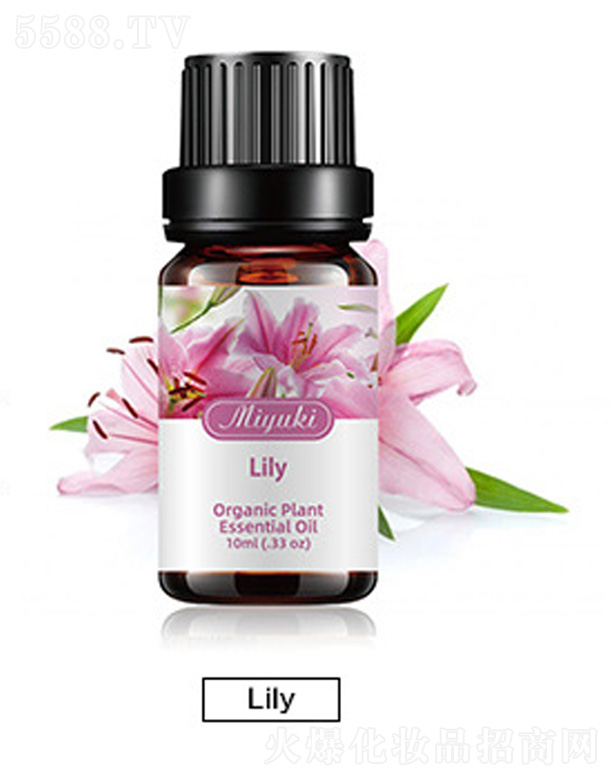 �V���׋I����Ƽ����޹�˾���o(h��)�w��޹��Ħ��-Lily����