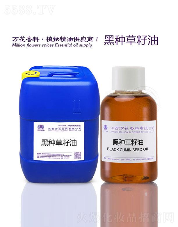 �����f���������޹�˾���f���ڷN������