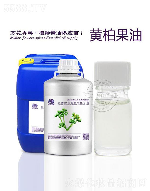 �����f���������޹�˾���f���S�ع���