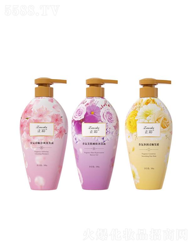 �V����������Ƽ����޹�˾���V����������   ��������ݝ�(r��n)��혰l(f��)Ĥ   �־�����