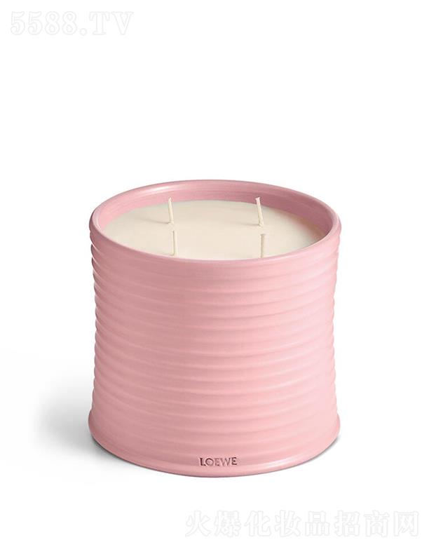 ·����܎��ˮ���yƷ(�Ϻ�)���޹�˾��LOEWE��̖(h��o)�������㾫Ϟ�T 100����