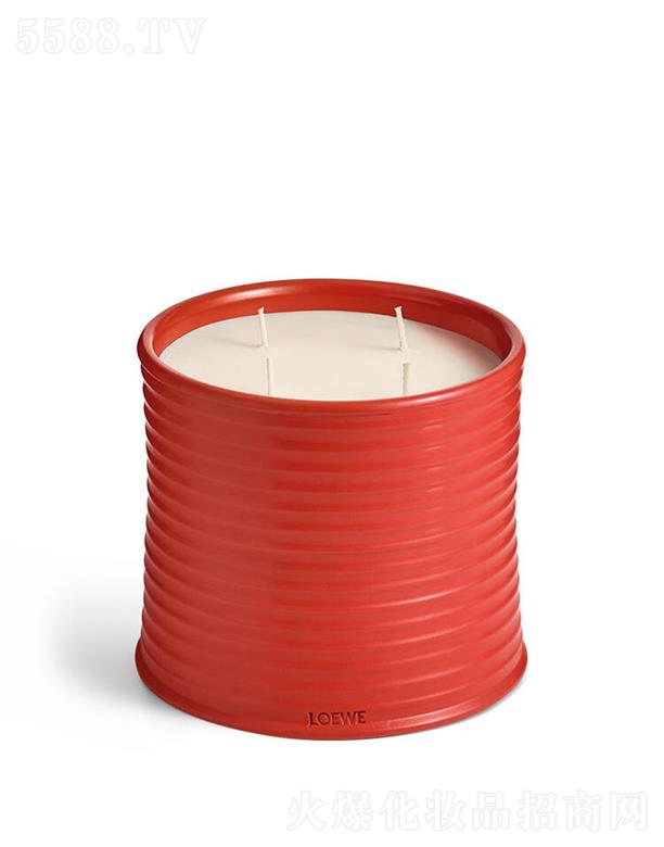 ·����܎��ˮ���yƷ(�Ϻ�)���޹�˾��LOEWE��̖(h��o)�����~�㾫Ϟ�T 100����