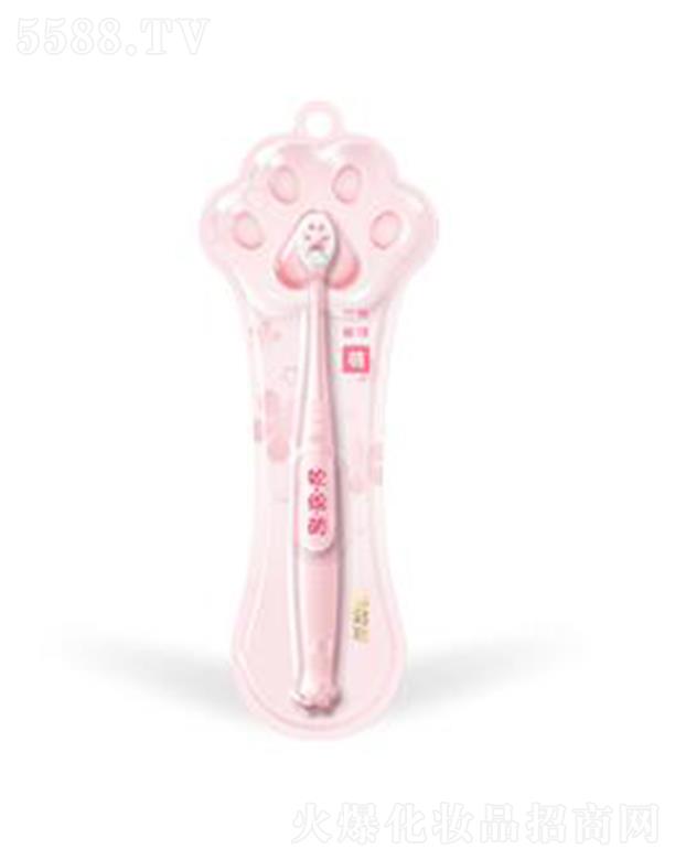 �ؑc�ǿ���ǻ�o(h��)����Ʒ�ɷ����޹�˾�������`�f��Կ�(��)��ˢ �w��(x��)��ܛë��ˢ���pӯ