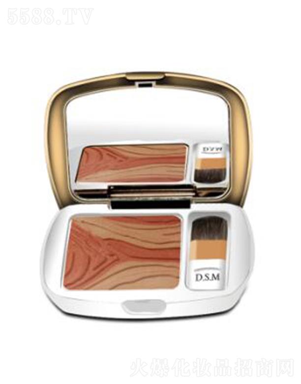 �V����ɫ���yƷ���޹�˾��D.S.M��z����������a�ʱP04 �I(y��ng)���ʽ��ͬ�yЧ