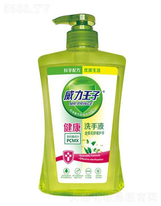 �V������ջ��Ƽ����޹�˾���������ӽ��y���澏�o�ֽ���ϴ��Һ 500��