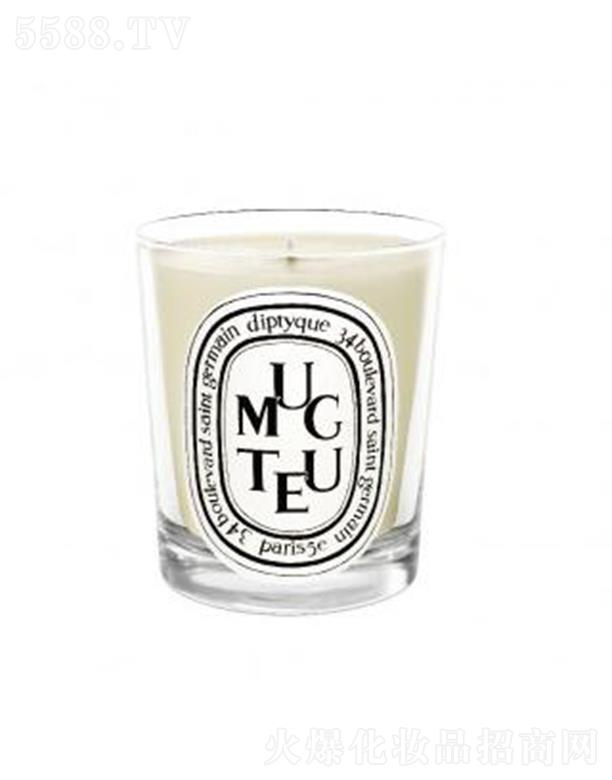 ���֣��Ϻ����Q(m��o)�����޹�˾��diptyque���Ϟ�T-��m