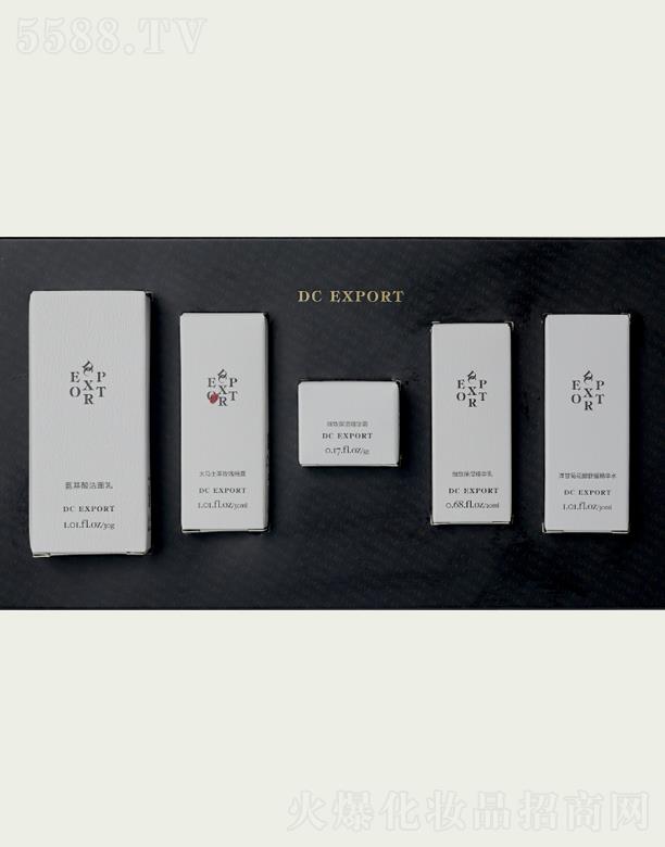 ���˰�������Ƽ����޹�˾��DC EXPORT��(x��)�±�����Y�b