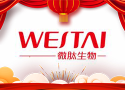 �����͸����_�T�󼪣��V��΢�Ľo�������ˣ�