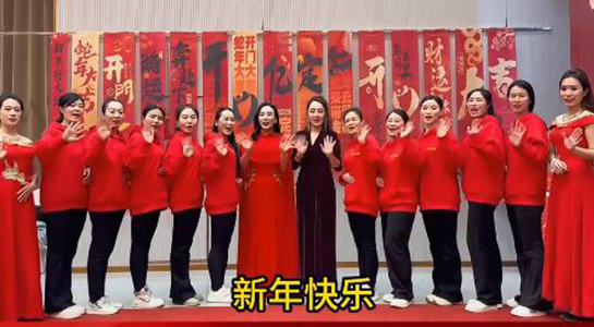 蛇年好運(yùn)至，幸福滿人間！飛斯達(dá)祝您百事從歡，一路向陽！