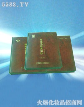 �����C�܏�(f��)����