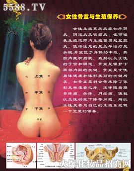 ���������豣�B(y��ng)�׽�B