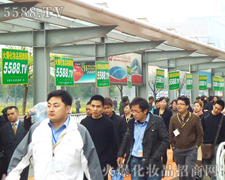 ���I(y��)���[��(hu��)ȺӢ�C�ͣ���푻𱬼��Y(ji��)̖(h��o)