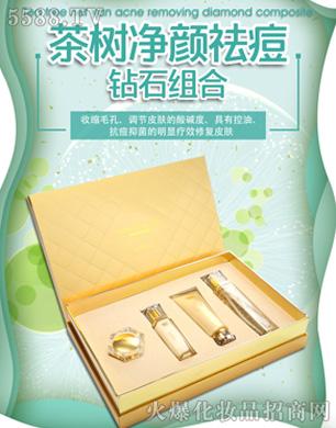 �C��ѩ�w���(sh��)�����@ʯ�M���ļ���