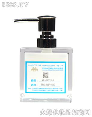 YB-01374-1��y���o(h��)��Ĥ