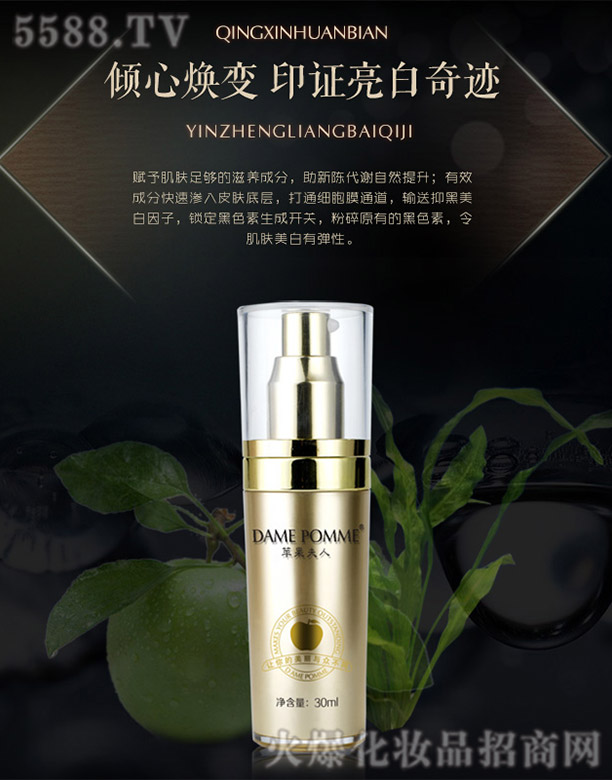 �O�������ʺ����׾��A