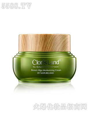 ���ޢ����屶����˪