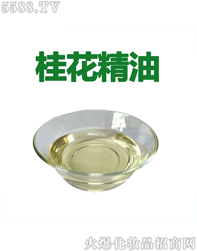 ����ݹ𻨾���