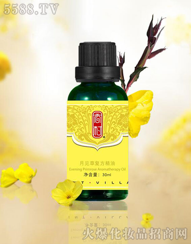 �����Ҋ�ݏ�(f��)������