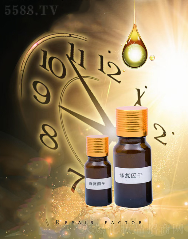 ��֥���ޏ�(f��)����