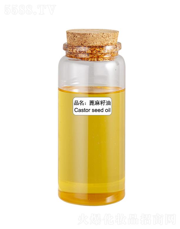 ɭ����������