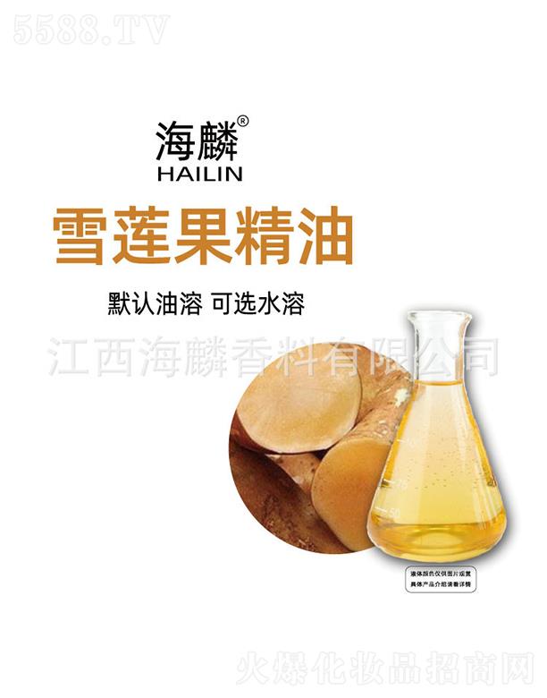 ����ѩɏ������