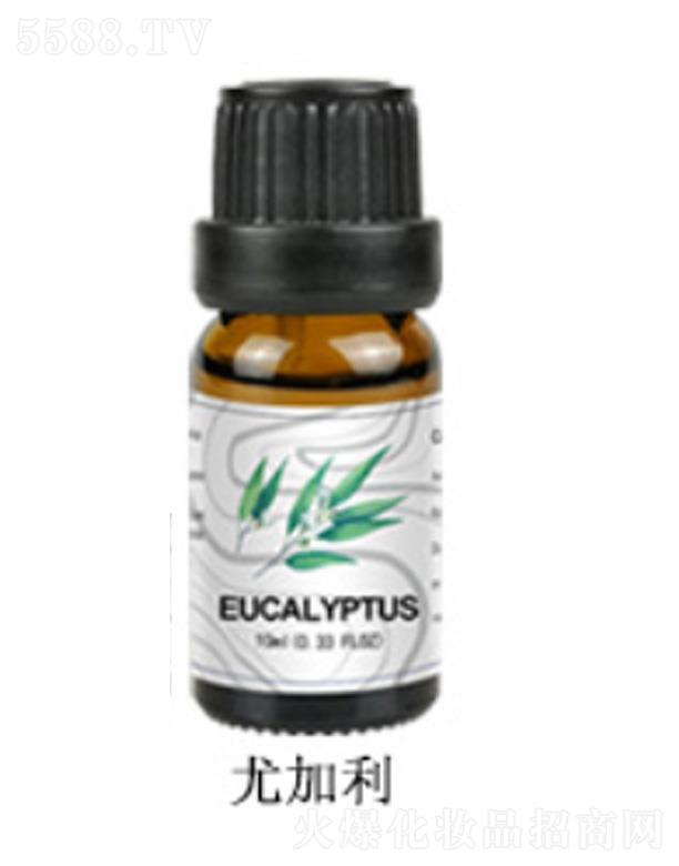 �ȼ�������