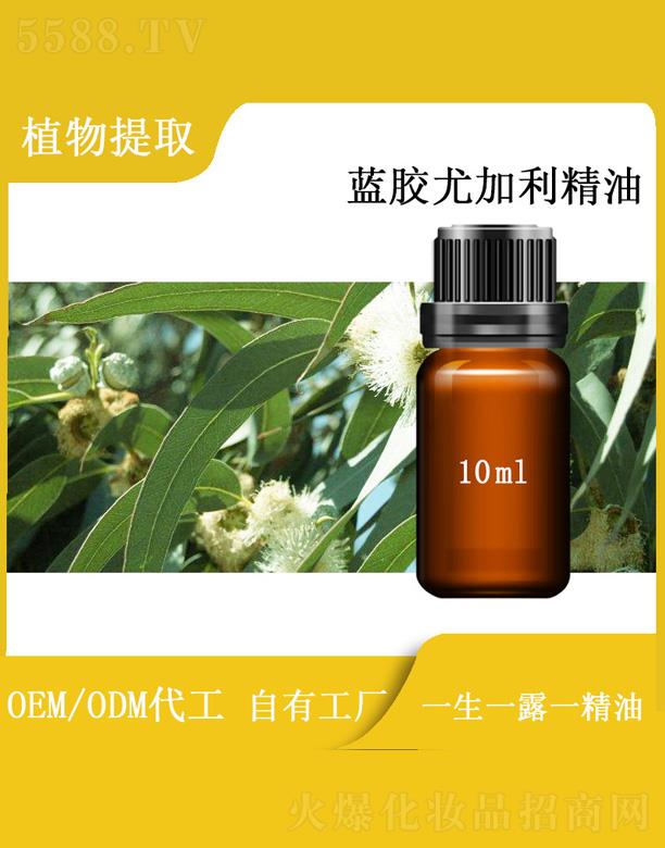 �h���{�z�ȼ������� 10ml