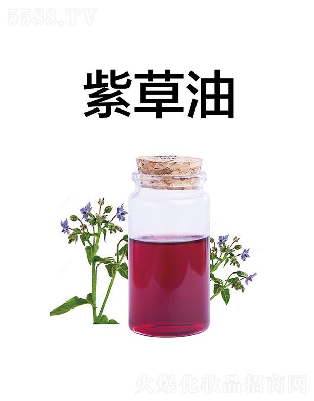 �����ϲ���