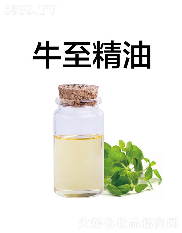 ����ţ������