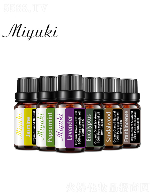 �羳���R�d��޹���� 6֧