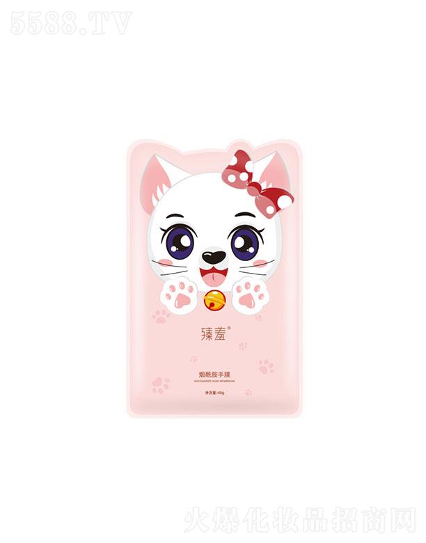 �V���������   ���ߟ��������w؈צ��Ĥ   �̝�ȥ���|(zh��)