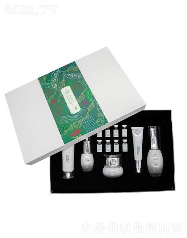 ʥ�۰ײ����������� ���͸��M