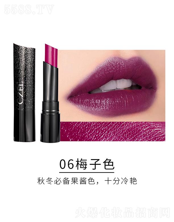 CZEL���������ʽz������06÷��ɫ