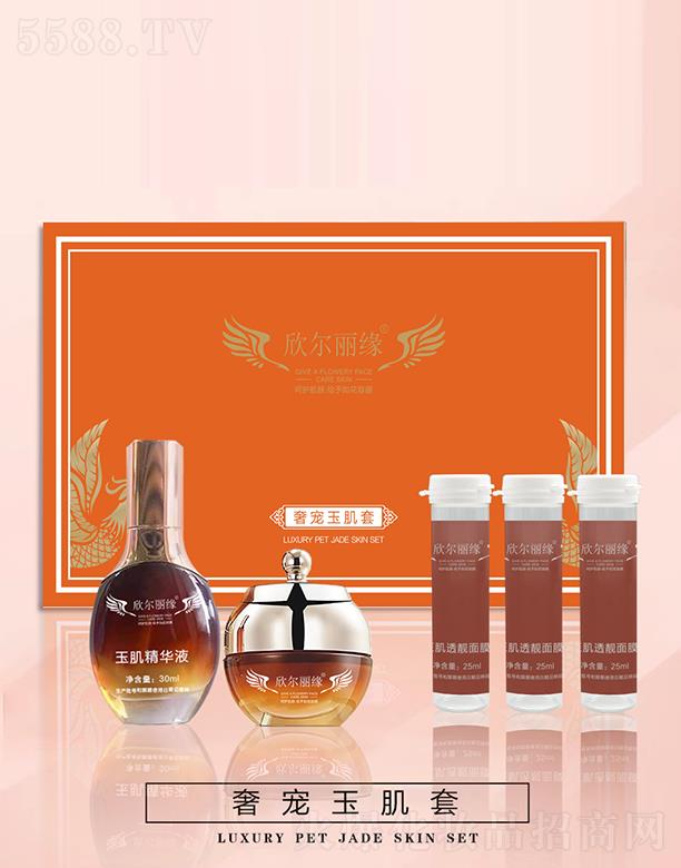 ���������݌�����